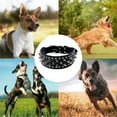 thumbnail image 5 of Apuakthei Collar para perros de cuero con remaches anchos de 2 ",, 5 of 5