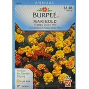 Burpee Marigold Happy Days Mix