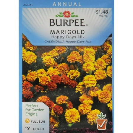 Burpee Marigold Happy Days Mix