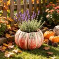thumbnail image 3 of MYUNNIL Halloween Pumpkin Shaped Planter, Vintage Rustic Pumpkin Resin Flower Pot with Faded Texture Desigh, Durable Practical Decorative Container for Indoor Garden Yard Decor, 3 of 6