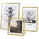 thumbnail image 1 of Jajamy Juego De 3 Marcos De Flores Prensadas De Vidrio De 4.0 X 4.0 In, 4.0 X 6.0 In, 5.0 X 7.0 In, Marcos De Fotos De Cristal Flotantes De Metal Dorado, Marco De Arte De Vidrio Prensado Para Mesa, De, 1 of 1