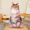 thumbnail image 1 of Coussin en Peluche Chat Simulation 3D Jouet Poupée Chaton Réaliste Canapé Chambre Coussin Décor Kawaii Cadeau, 1 of 7