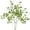 Green White, variant on MixMart 2 pcs Artificial Ficus Branches, 44.5'' White-Edged Heart-shaped Artificial Greenery Decor Green Stems Leaves, Faux Ficus Twig Greenery Stems for Vase Home Office Garden Wedding Decoration