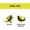 thumbnail image 3 of YWC-Zilla Lampes Chauffantes Terrarium pour Reptiles, Ampoule Incandescente, Rouge Nuit, 75W, 3 of 4