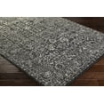 thumbnail image 2 of Livabliss Area Rugs for Living Room, 3x7 Harput Traditional Black Runner Rug, Bedroom Dining Room Home Decor Stain Resistant Carpet (2'7" x 7'3" Runner), 2 of 5