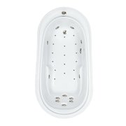 WaterTech Acrylic 73 in. x 38 in. Elite Series Drop-In Whirlpool and Air Bath Combination Tub - Bone