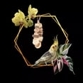 thumbnail image 1 of Juguetes Para Masticar Colgantes Para Loros, Juguetes Para Morder Loros De Cartón, Bolas De Ratán De Madera De Lufa, Fácil Instalación Divertida Para Lovebird, 1 of 7
