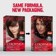 thumbnail image 3 of Revlon ColorSilk Beautiful Color Permanent Hair Color 3 Pack, Dark Mahogany Brown, 3 Pack, 3 of 13