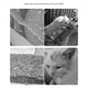thumbnail image 5 of Almohadilla rascadora para gatos, Material de sisal, resistente al desgaste, gran espacio, forma bonita, alfombrilla para rascar para gatos, 5 of 6