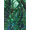 Paparazzi Garden, variant on Sexy Sequins Ladies Hi Fashion Designer 90210 Face Mask