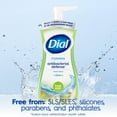 thumbnail image 6 of Dial Antibacterial Defense Fresh Pear Scent Foaming Hand Soap, 7.5 fl oz, 6 of 14