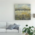 thumbnail image 2 of Trademark Fine Art 'Rain Abstract II' Canvas Art by Danhui Nai, 2 of 3