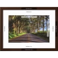 thumbnail image 3 of Tree Tunnel to Old Koloa Town, Kauai Hawaii, Scenic Framed Art Print Wall Art by Vincent James Sold by Art.Com, 3 of 6