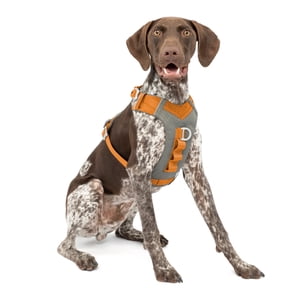 Kurgo Journey Air Dog Harness, Medium Orange