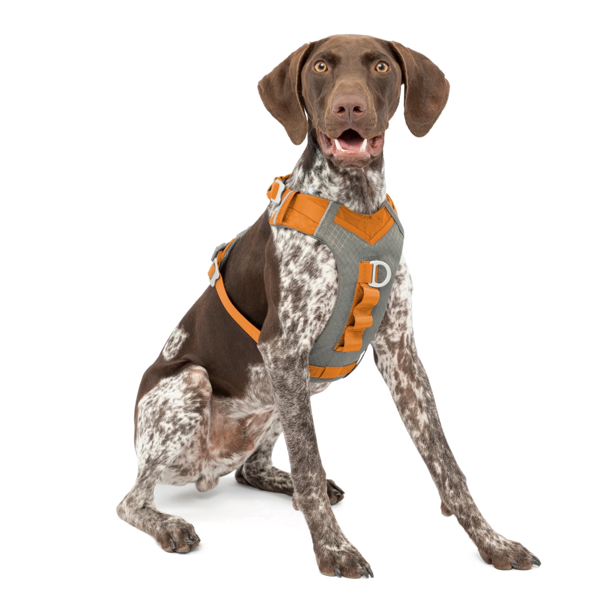 Kurgo Journey Air Dog Harness, Medium Orange photo 1