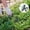 🔥 D_New#9185, variant on Steel Garden Weeding Tool | Manual Weed Remover | Multi-Functional Hand Weeder with Ergonomic Handle | Digging, Prying, Removal for Thistles, Dandelions, Crabgrass | Durable Non-Stick | 1 Piece