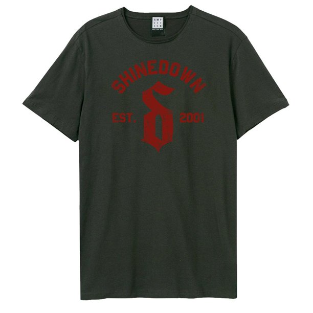 Amplified - Camiseta 2001 Shinedown para Adultos Unisex (Carbón)