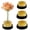 4pcs, variant on Flower Frogs 34mm/1.34inch Diameter Kenzan Japanese Ikebana Kenzan Flower Pin Frog Ikebana Flower Arrangement Holder (4pcs)