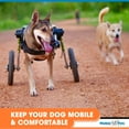 thumbnail image 4 of Walkin' Wheels Dog Wheelchair - Vet Approved - Med to Large Dogs 50 - 69 lbs, 4 of 7