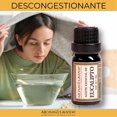 thumbnail image 4 of Aceite Esencial Aromas & Lavanda Eucalipto Fresco Descongestionante 10 ml, 4 of 4