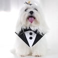 thumbnail image 4 of QTOCIO Foulard pour Chien Nœud Papillon Collier pour Chien Accessoires de Robe Collier pour Chat, 4 of 4