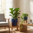 thumbnail image 3 of Flora Bunda CT1536E2-NAVY 10' & 8' Illuminati Ceramic Planter on Wood Stand,Set of 2, 3 of 3