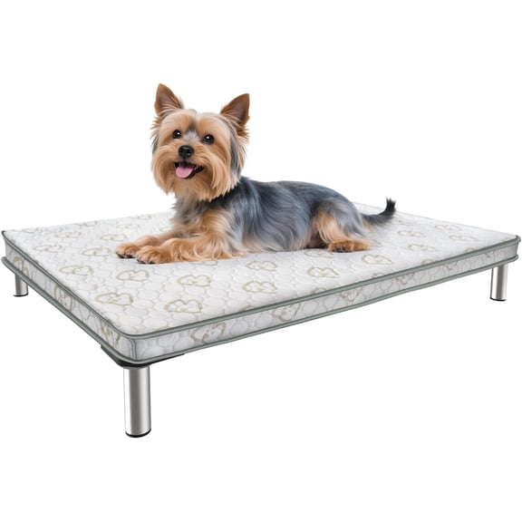 TitanNest Chew-Proof Elevated Dog Bed, Raised Cot for Indoor/Outdoor/Camping Use, Durable & Washable Padded Pet Bed for Toy Dogs, 24.0" L x 20.0" W x 4.1" H, Gray