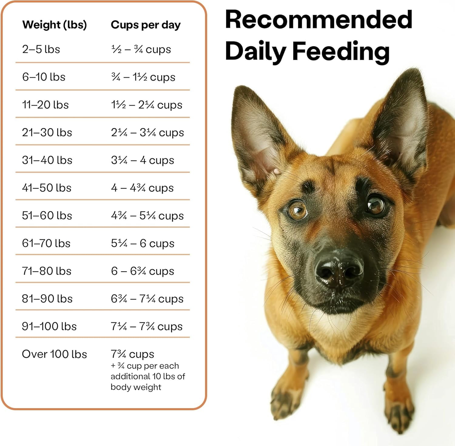 Wild Earth Vegan Dry Dog Food 28 LB| Plant-Based Maintenance Formula | Vegetarian, Allergy Relief, Veterinarian-Developed for Complete Nutrition | Classic Roast Flavor