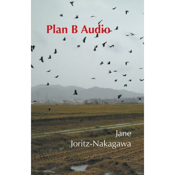 Plan B Audio (Paperback)
