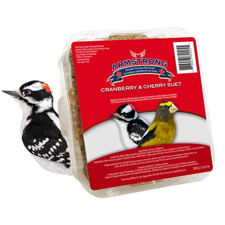 Armstrong Wild Bird Food Cranberry and Cherry Suet Blend, 11.3oz