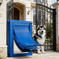 thumbnail image 5 of Automatic Adjustable Plastic Dog and Cat Door, Large, 20.00’’ x 13.31’’ x 4.45’’, Blue, 5 of 5