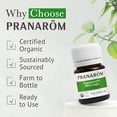 thumbnail image 6 of Pranarom Organic Aromaforce Peppermint Mini-Caps, 6 of 7