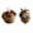 F-As shows, variant on CxhicLuv Resin Forest Hazelnut Animal Ornaments, Handcrafted Sleeping Animals for Christmas Tree, Owl, Bunny, Hedgehog, and Squirrel Forest Décor, Nature Lovers Gift, Set of 2