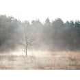 thumbnail image 2 of Frank, Assaf 14x12 White Modern Wood Framed Museum Art Print Titled - Misty forest, 2 of 4