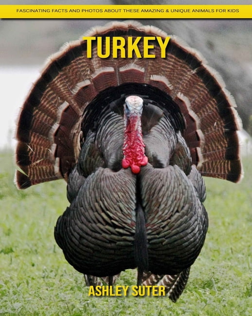 Turkey : Fascinating Facts and Photos about These Amazing & Unique Animals for Kids (Paperback) Turkey : Fascinating Facts and Photos about These Amazing & Unique Animals for Kids (Paperback)