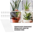 thumbnail image 3 of unbranded 1Jgo Varillas Y Clips Transparentes Para Soporte De Plantas En Acrílico Flexible Y Reutilizable, 3 of 8