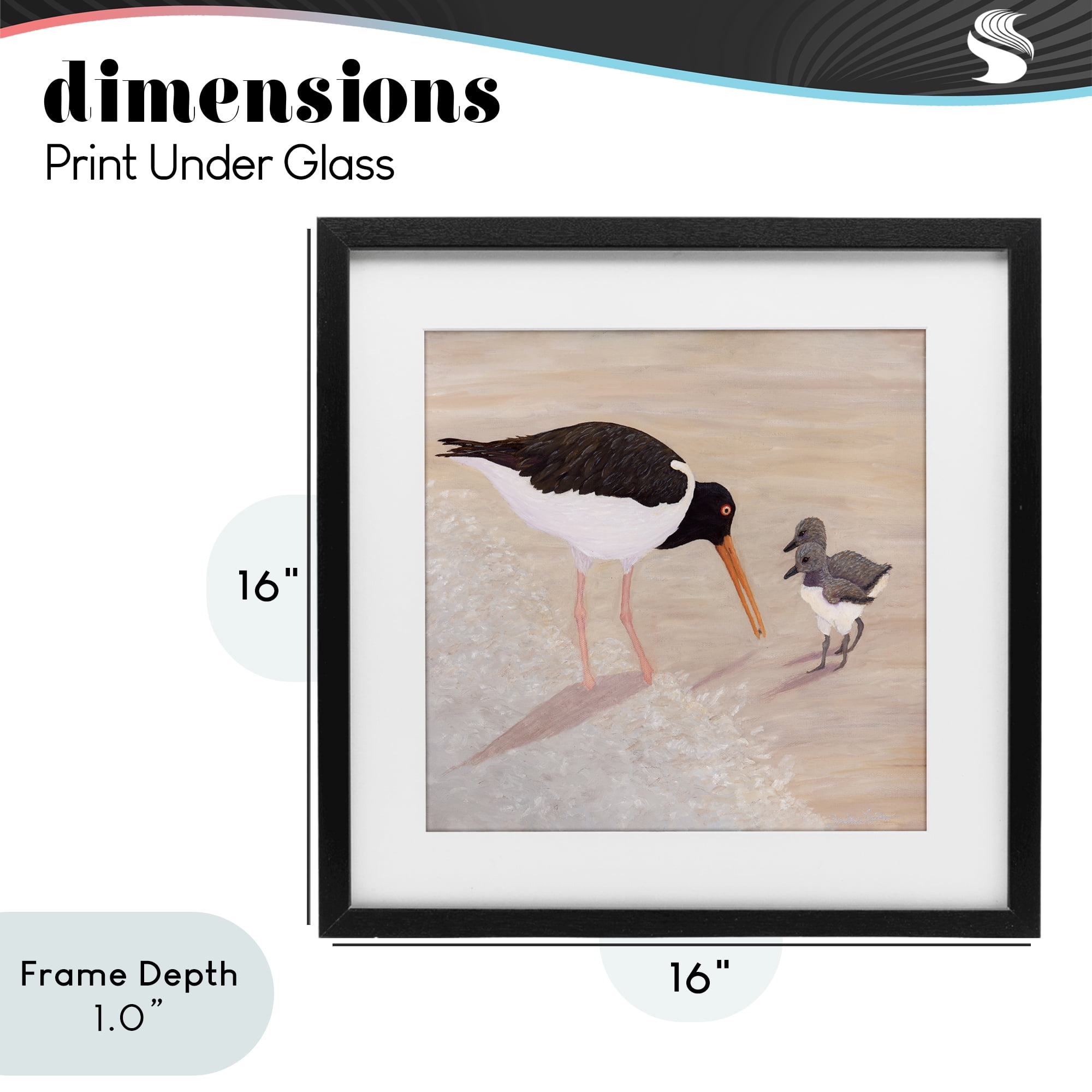 Stupell Industries American Oyster Catcher & Chicks Black Framed Print Under Glass, design by Barbara Fallenbaum