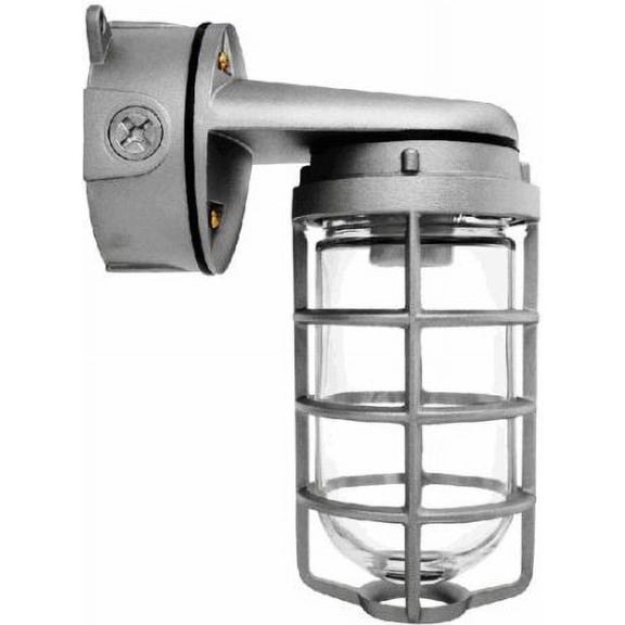 RAB Lighting VXBR100DG Box Mount Fixture w/Globe & GD