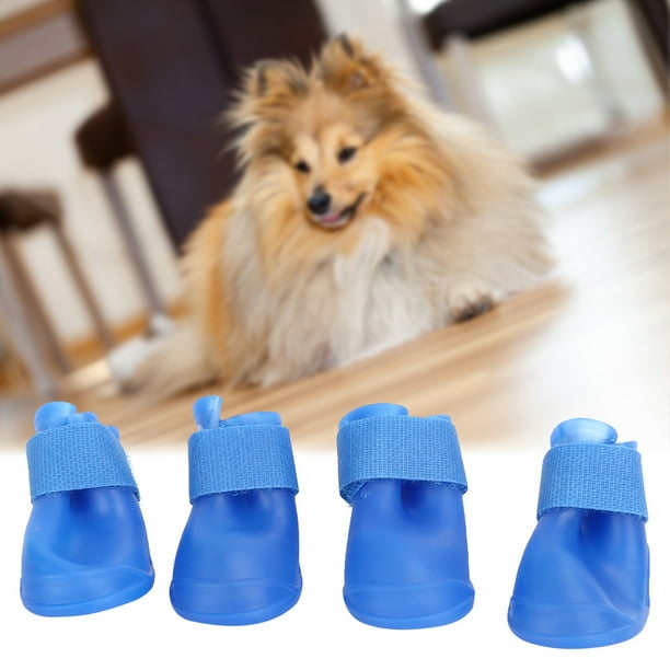 Shoe pet clearance
