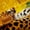 Leopard 03, variant on Feelyou 3D Leopard Black Out Curtains, Wildlife Cheetah Curtains Pack of 2 (42x63 Each)