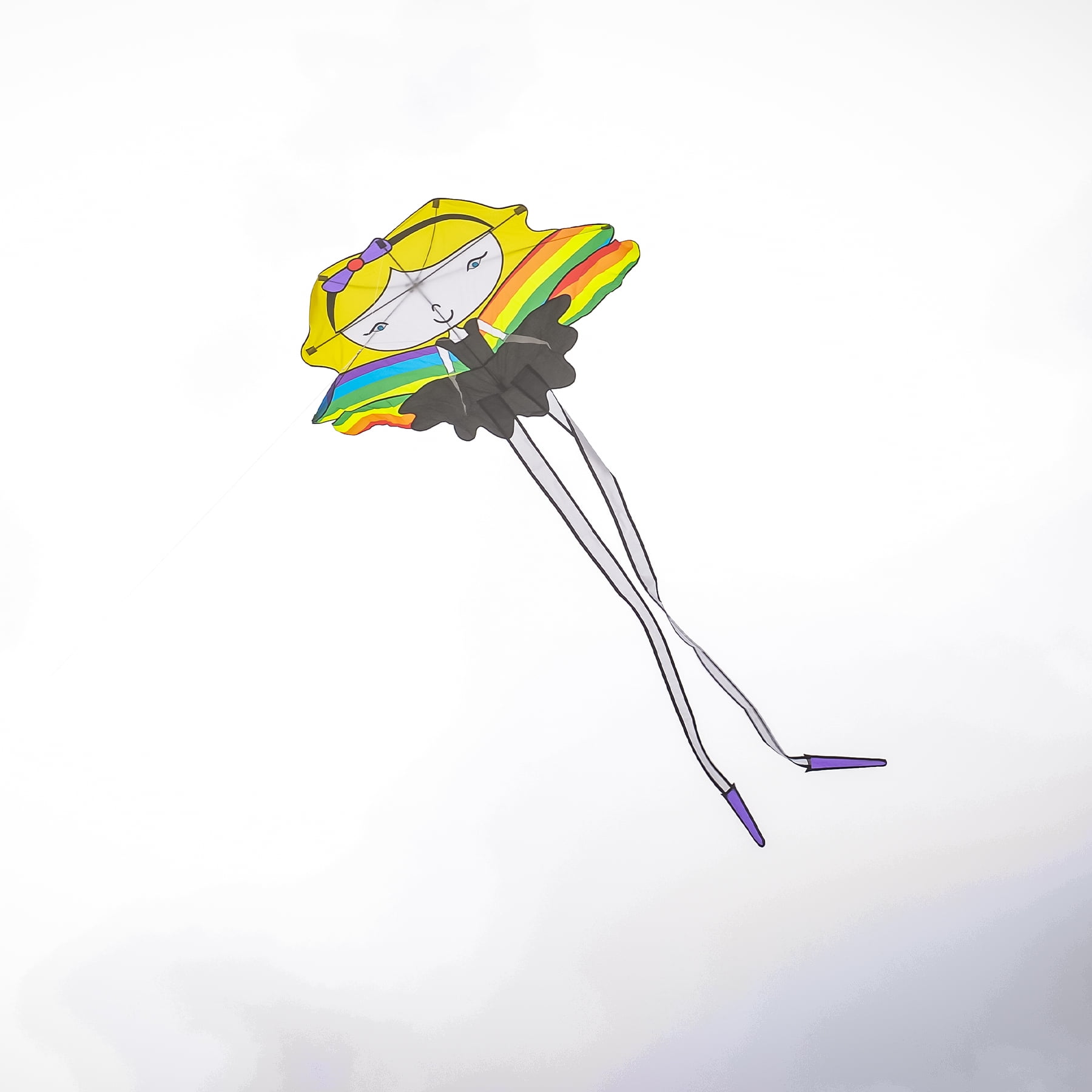 In the Breeze 3129 — Butterfly Wings Kite — Unique and Fun Single Line Kite for All Ages