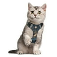 thumbnail image 5 of Pet Vest For Walking With Handle Adjustable Reflective Dog Cat Harness Celestial Star Map, 5 of 7
