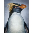 thumbnail image 2 of LaMontagne, Patrick 12x14 Black Ornate Wood Framed with Double Matting Museum Art Print Titled - Penguin Totem, 2 of 4