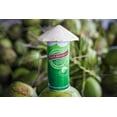 thumbnail image 4 of (12 Pack) Taste Nirvana Real Coconut Water, 16.2 Fl. Oz., 4 of 8