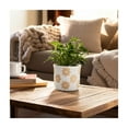 thumbnail image 3 of Planter and Flower Pot for Home Decor - Ideal Pots for Indoor and Outdoor Plants, Herbs, or Vines - Modern Planters with Sweet Floral Print for Living Room, Garden, or Patio Decor - 5" White & Tan, 3 of 10