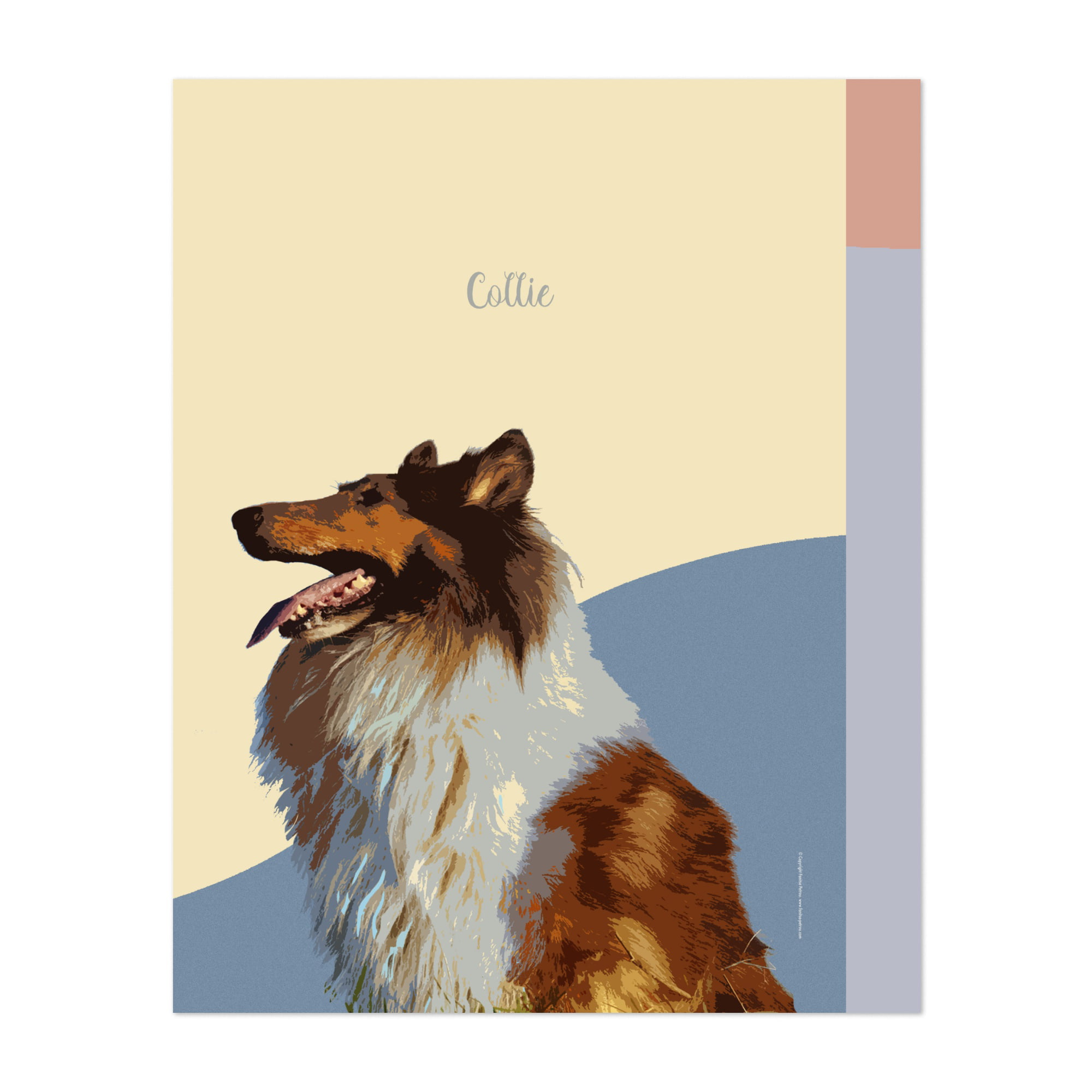 ROUGH COLLIE LADY AND HER DOGS LOVELY VINTAGE STYLE DOG PRINT POSTER 