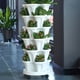 thumbnail image 3 of Soporte De Jardinera Vertical Jardinera Apilable Bandeja De Fresa Jardinera Torre De Jardín Bandeja De Maceta Bandeja De Maceta De Interior Al Aire Libre Bandeja De Contenedor De Plantación Eigraketly HA028477-01, 3 of 5