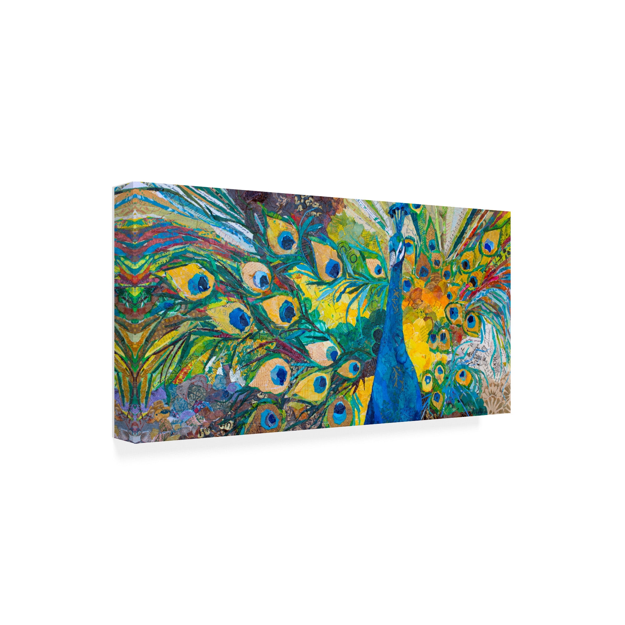 Trademark Fine Art 'Percy Peacock I' Canvas Art by Elizabeth St. Hilaire