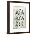 thumbnail image 1 of Relic Hunter II, Animals Framed Art Print Wall Art by Vision Studio Sold by Art.Com, 1 of 1