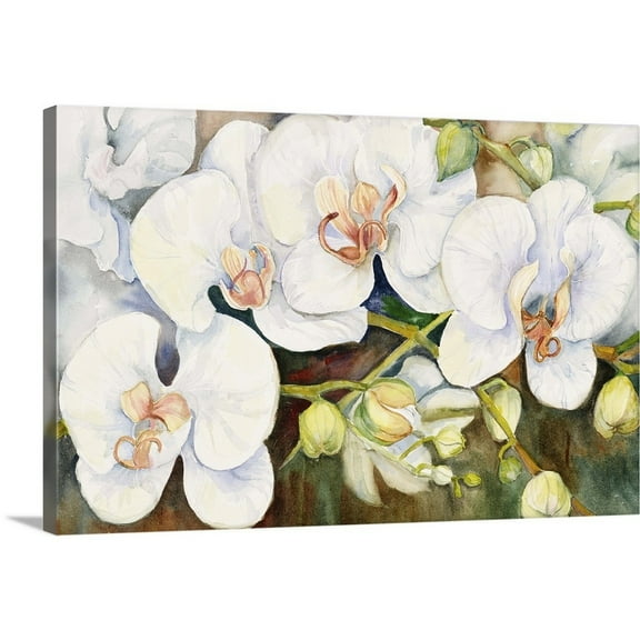 Great Big Canvas "Stem Of Orchids"  by Joanne Porter Olive Green Light Gray   Wrapped Canvas Print Wall Artwork